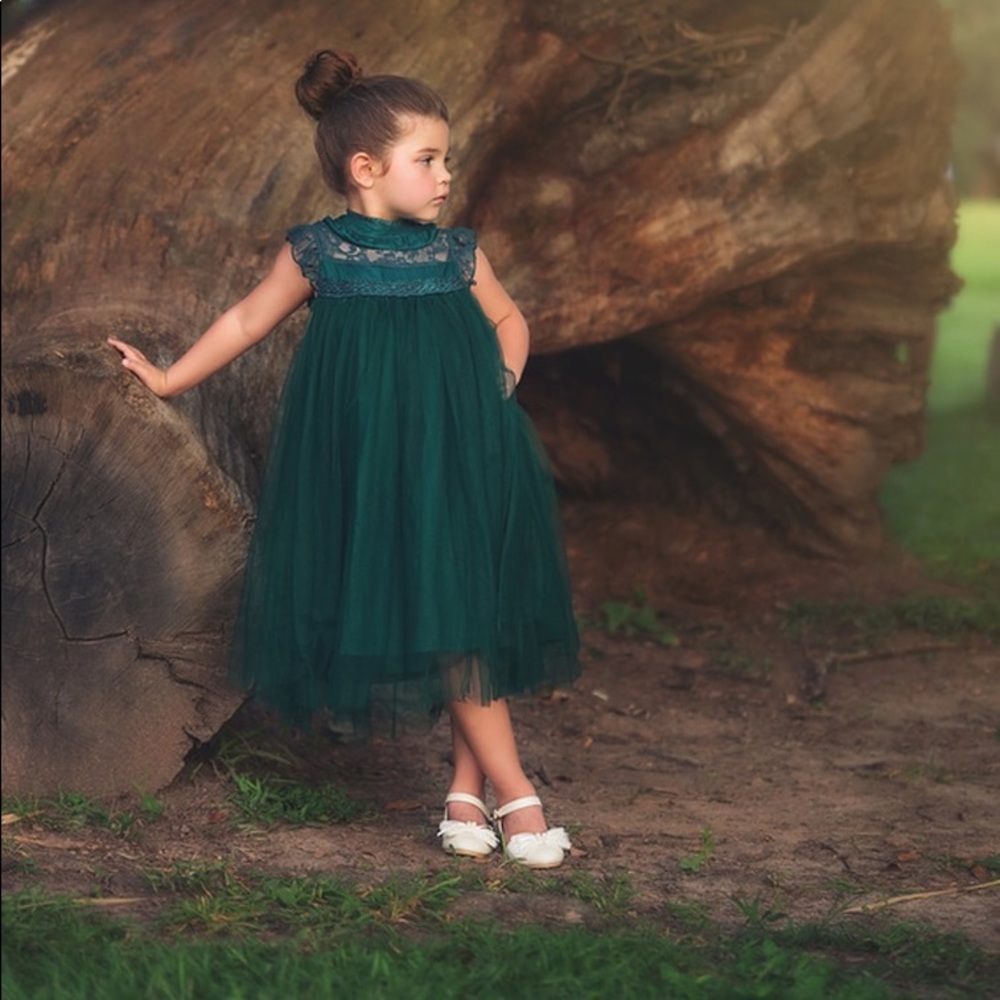 NWOT Trish Scully Alessandra dress in emerald